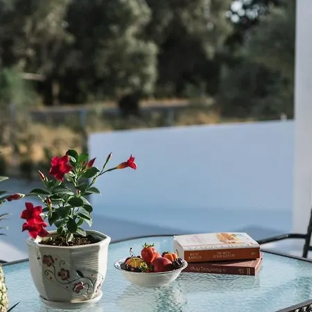 Anastasia's Luxury Homes Daire